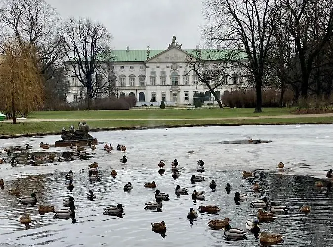 Апартаменты Luna